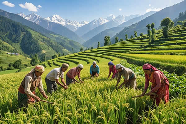 Bharatiya Organic Farming